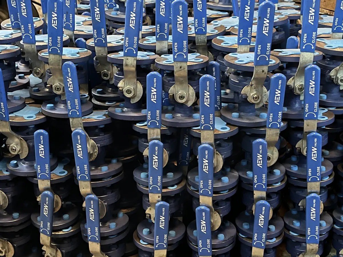 Rows of flanged ball valves with blue operating handles.